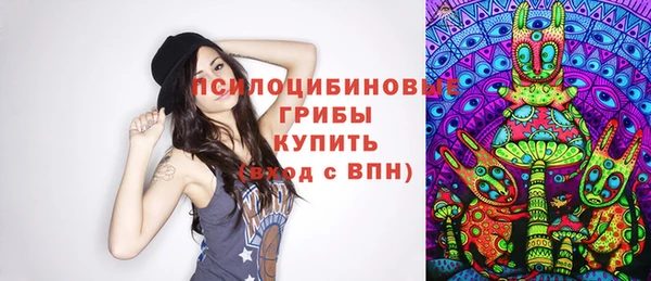 стаф Алексеевка