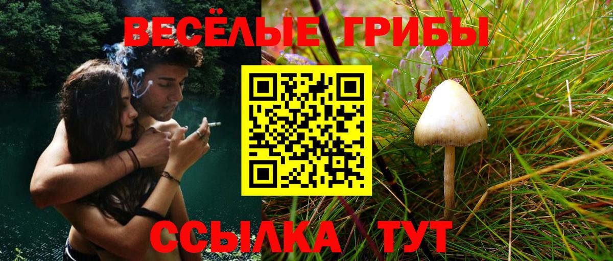 Галлюциногенные грибы мицелий Обнинск